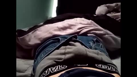 Snapshot of theturtleshead chatting on 01-23-25, 11:05 theturtleshead online show from 01-23-25, 11:05