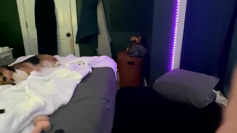 Thick D Bottom online show from 03-12-26, 04:51