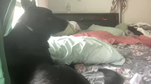 Snapshot of throatyygoat chatting on 09-21-25, 06:53 throatyygoat online show from 09-21-25, 06:53