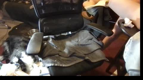 thundersword online show from 03-08-25, 07:09