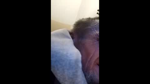 tibed1968836757 online show from 02-15-26, 08:49