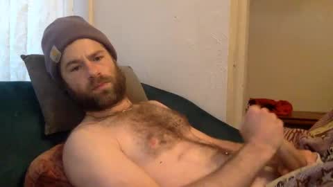 tigerzaddy online show from 12-09-24, 02:49