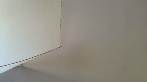 tiianascott online show from 07-24-26, 11:52