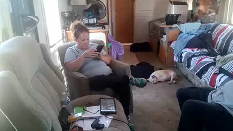 Tim  Amanda online show from 07-22-26, 03:59