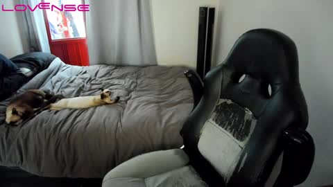 Snapshot of tinaricci chatting on 01-22-25, 07:45 Tina online show from 01-22-25, 07:45