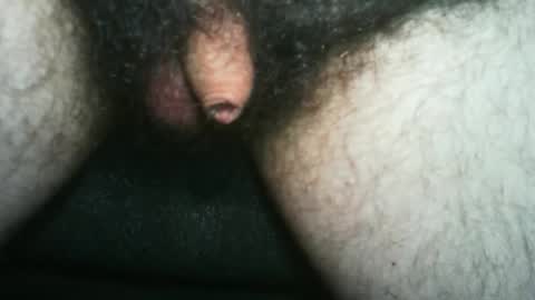 tinycocker online show from 10-25-25, 11:54