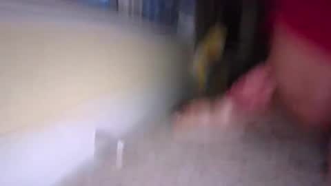 tj526316275 online show from 01-09-25, 12:19