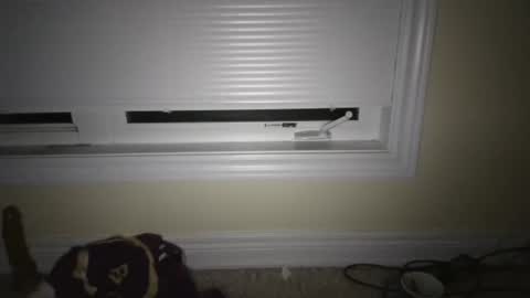 tj526316275 online show from 04-23-26, 06:47