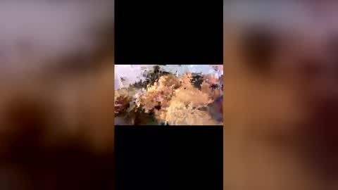 tjh29111990 online show from 05-28-26, 07:22