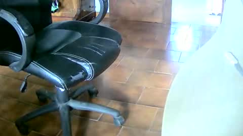 Snapshot of tobikoyuzu chatting on 12-20-25, 02:24 Tobiko online show from 12-20-25, 02:24