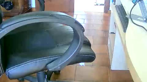 Snapshot of tobikoyuzu chatting on 02-17-26, 03:29 Tobiko online show from 02-17-26, 03:29