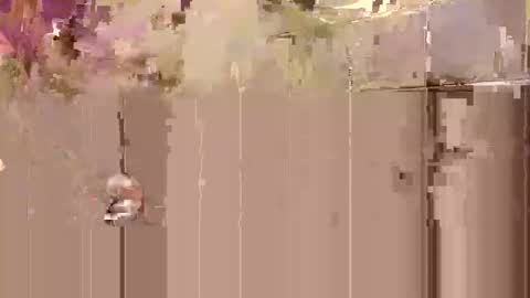Toby Obeys online show from 10-27-25, 03:32