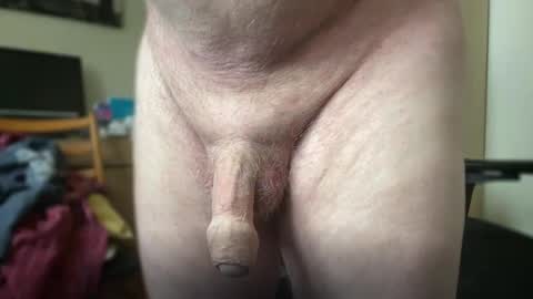 Togbear online show from 10-09-25, 08:34