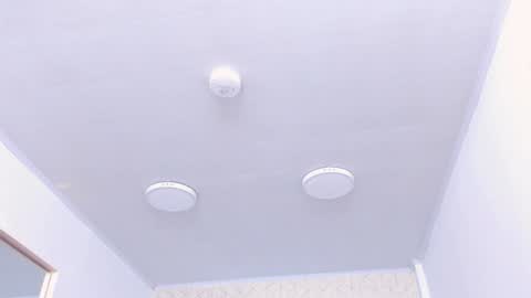 Tokyo  online show from 12-21-24, 01:10