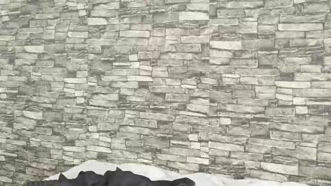 Snapshot of tokyosky chatting on 01-05-26, 07:39 Tokyo online show from 01-05-26, 07:39