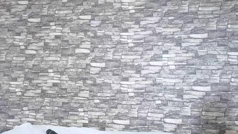 Snapshot of tokyosky chatting on 02-02-26, 06:06 Tokyo online show from 02-02-26, 06:06