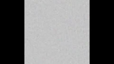 tommy and sophie online show from 12-10-24, 11:19