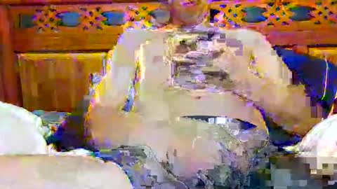 tomygolden online show from 11-28-25, 03:20