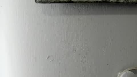 lady blue online show from 01-06-25, 05:38