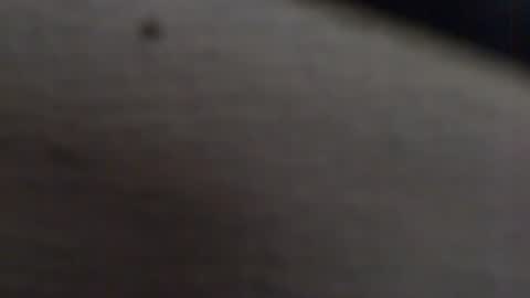 Snapshot of tony2700targa chatting on 01-13-25, 03:47 tony2700targa online show from 01-13-25, 03:47