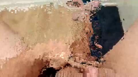 ARKANSAS THICK WOOD online show from 03-04-26, 02:28