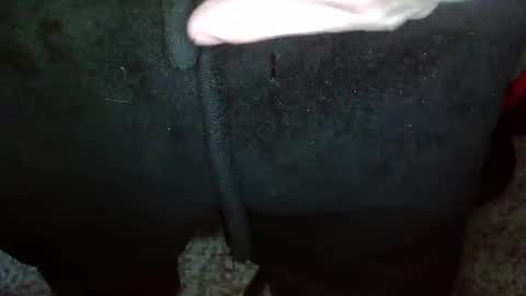 Topg84 online show from 12-15-24, 02:59