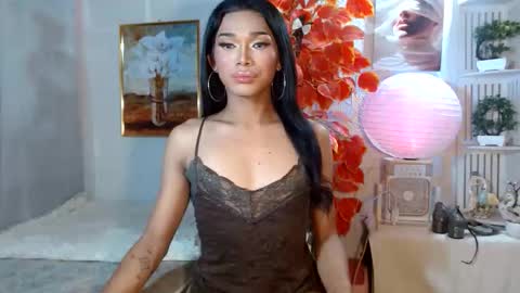 toptrans venice online show from 04-14-26, 12:16