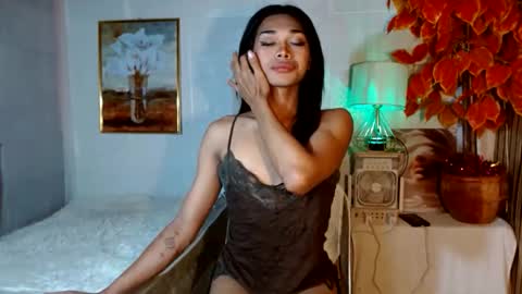 toptrans venice online show from 04-17-26, 12:57