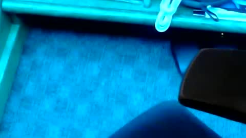 Snapshot of tornne chatting on 02-02-25, 01:19 tornne online show from 02-02-25, 01:19