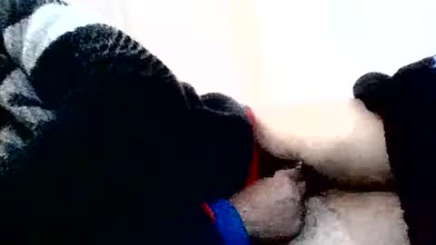 torresurionasantos online show from 02-02-26, 05:22