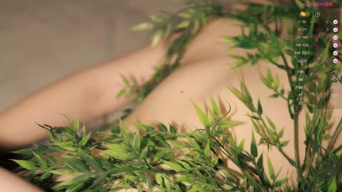 Toshi online show from 01-20-25, 01:00