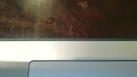 Snapshot of totxxx335 chatting on 12-15-25, 08:57 totxxx335 online show from 12-15-25, 08:57