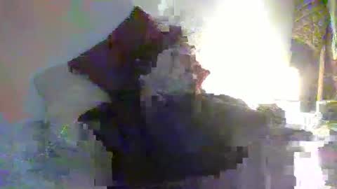 Snapshot of toyboyhumilation chatting on 11-07-25, 06:30 toyboyhumilation online show from 11-07-25, 06:30