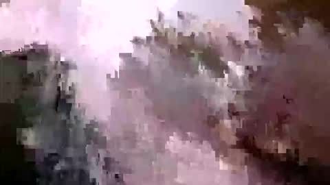 tr0069 online show from 04-05-26, 06:32