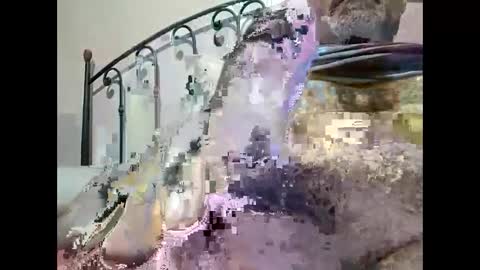 tra649167 online show from 12-23-24, 09:40