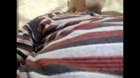 tra649167 online show from 02-09-25, 08:02