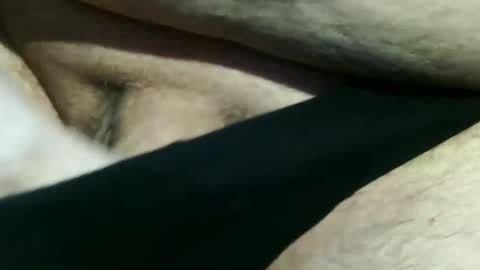 trailblazer1969 online show from 12-08-24, 07:43