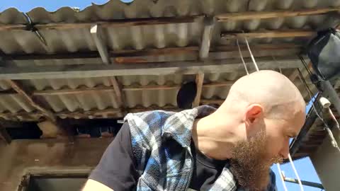 Tralalabala online show from 03-03-26, 11:49