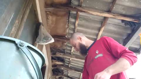 Tralalabala online show from 03-05-26, 12:01