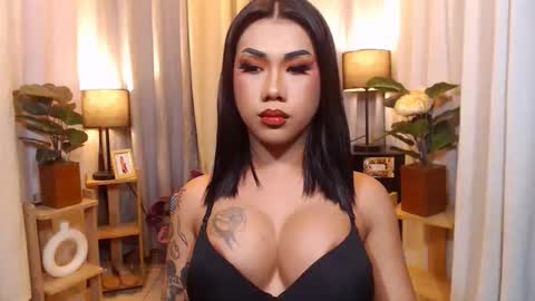 transpornidol online show from 02-08-26, 03:48