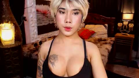 transpornidol online show from 02-13-26, 07:10