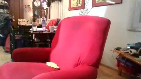 trebgeis1 online show from 01-06-26, 09:18