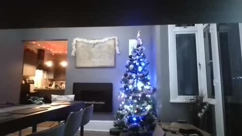 Snapshot of trebor19821982 chatting on 12-19-25, 05:03 Big bob 198q online show from 12-19-25, 05:03