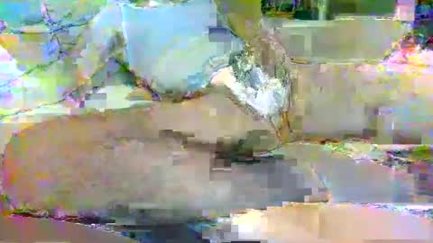 Snapshot of tree33007 chatting on 11-03-25, 06:25 tree33007 online show from 11-03-25, 06:25