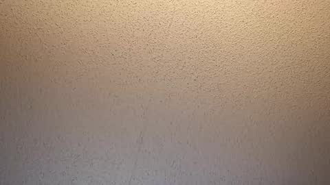 treedude303720 online show from 10-16-25, 09:43