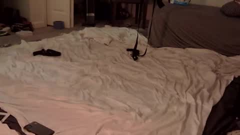 trickquestion online show from 02-23-25, 08:49