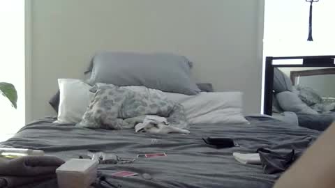 trickquestion online show from 02-19-26, 08:49