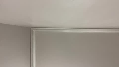 WapBopper online show from 12-24-24, 09:17