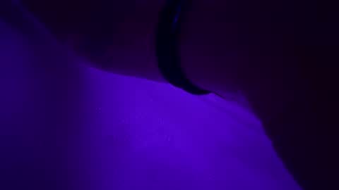 triplehero online show from 12-30-24, 12:54