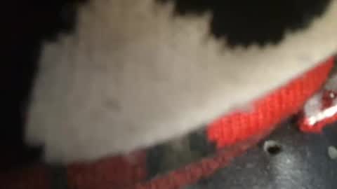 Snapshot of trobelle chatting on 12-26-24, 01:43 trobelle online show from 12-26-24, 01:43